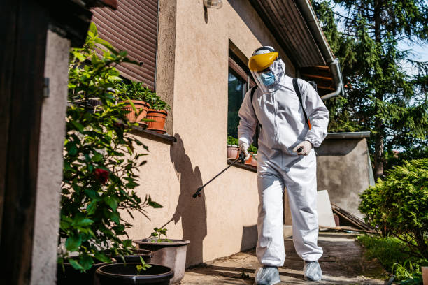 Best Exterminator Services  in Five Corners, WA