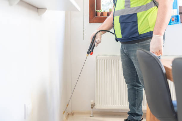 Trusted Five Corners, WA Pest Control Experts