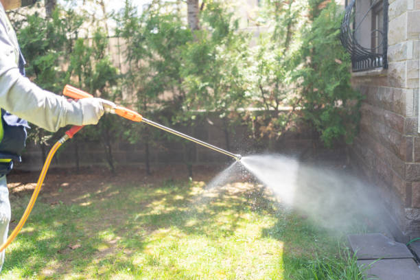 Best Pest Control for Restaurants  in Five Corners, WA