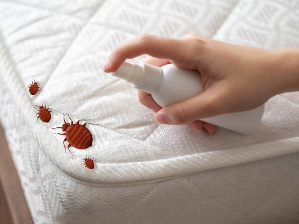 Best Best Pest Control Companies  in Five Corners, WA