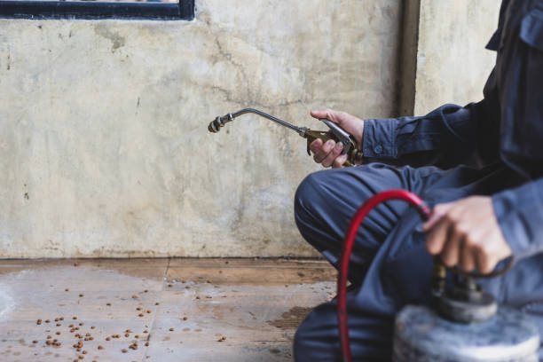 Best Emergency Pest Control  in Five Corners, WA